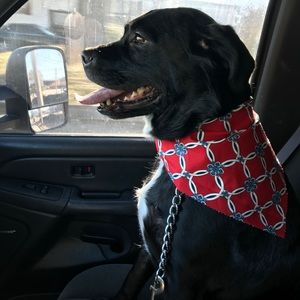 Meet your Posher, Kelli